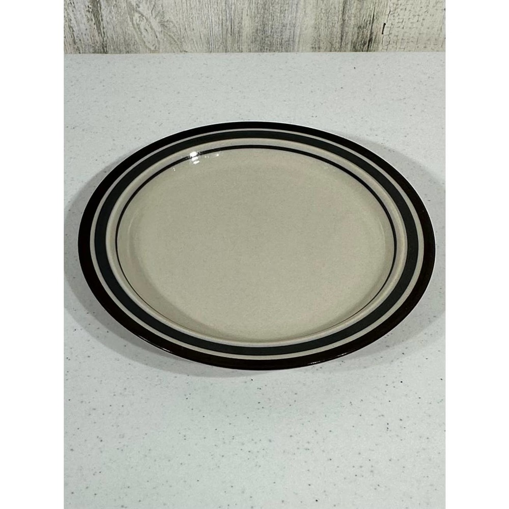 Regency Designer Collection Newcor Stoneware 714‎ Universe Appetizer Plate